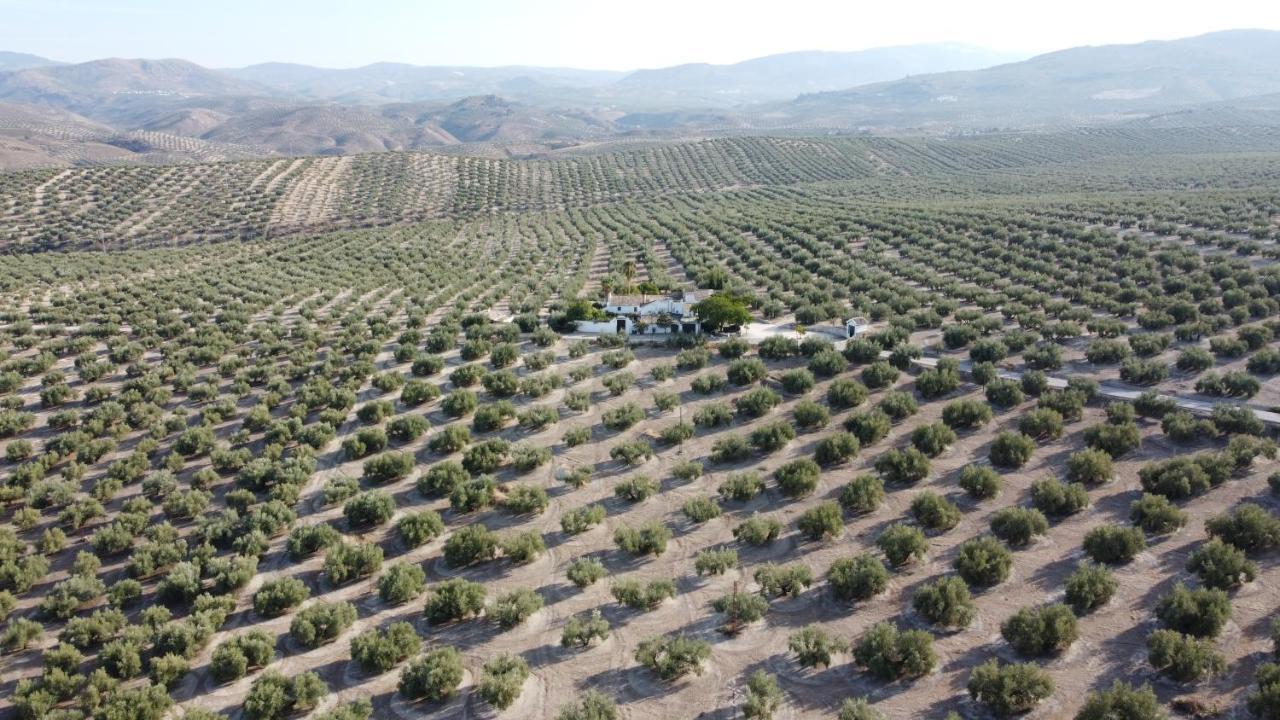 Casa De Familia Cortijo La Cubertilla Fuente-Tojar Buitenkant foto